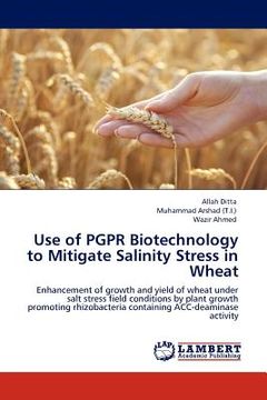 portada use of pgpr biotechnology to mitigate salinity stress in wheat
