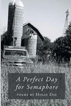 portada A Perfect Day for Semaphore (en Inglés)