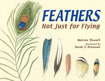 portada Feathers: Not Just for Flying (in English)