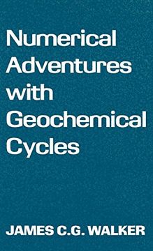 portada Numerical Adventures With Geochemical Cycles (en Inglés)