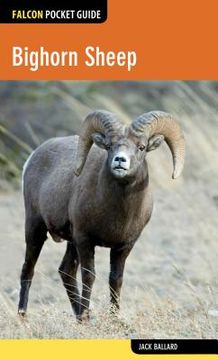 portada Bighorn Sheep (en Inglés)