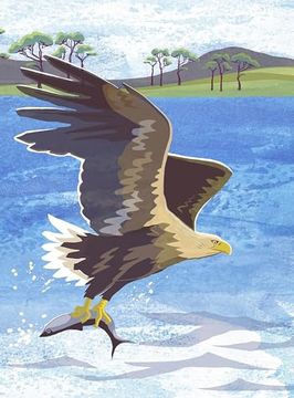 portada Nature Notebook: Sea Eagle