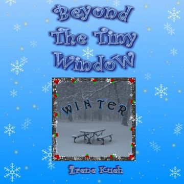 portada Beyond The Tiny Window: WINTER