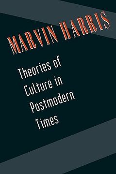 portada theories of culture in postmodern times (in English)