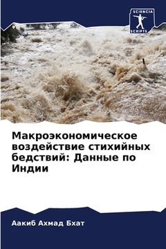 portada Макроэкономическое воз&# (in Russian)