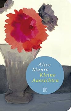 portada Kleine Aussichten: Roman (en Alemán)