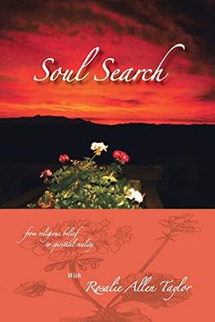 portada Soul Search: From Religious Belief to Spiritual Reality (en Inglés)