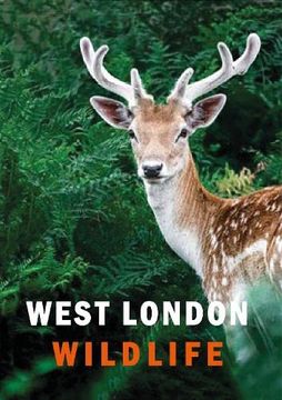 portada West London Wildlife (en Inglés)