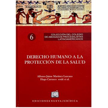 portada DERECHO HUMANO A LA PROTECCIÓN DE LA SALUD (Coleccion del colegio de abogados procesalistas latinoamericanos) # 6 (in Spanish)