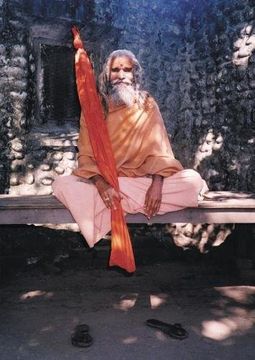 portada Dandi Swami: The Story of the Guru's Will, Maharishi Mahesh Yogi, the Shankaracharyas of Jyotir Math, & Meetings with Dandi Swami N (en Inglés)