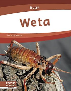 portada Weta (Bugs) (in English)