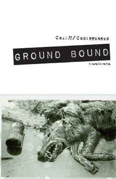 portada Ground Bound: a novel in verse (en Inglés)