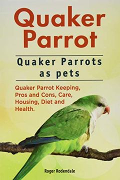 portada Quaker Parrot. Quaker Parrots as Pets. Quaker Parrot Keeping, Pros and Cons, Care, Housing, Diet and Health. 