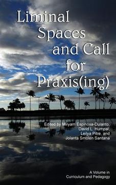 portada Liminal Spaces and Call for Praxis(ing) (Hc) (in English)
