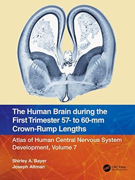 portada The Human Brain During the First Trimester 57- to 60-Mm Crown-Rump Lengths: Atlas of Human Central Nervous System Development, Volume 7 (Atlas of Human Central Nervous System Development, 7) (in English)