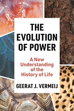 portada The Evolution of Power: A new Understanding of the History of Life (en Inglés)