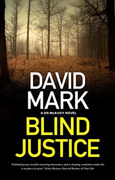 portada Blind Justice: 10 (a ds Mcavoy Novel) 