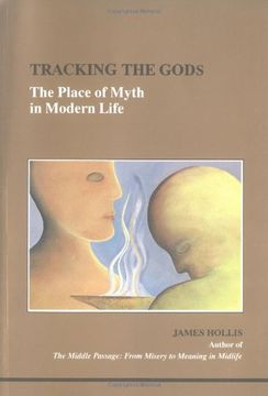 portada Tracking The Gods: The Place Of Myth In Modern Life (studies In Jungian Psychology By Jungian Analysts) (en Inglés)