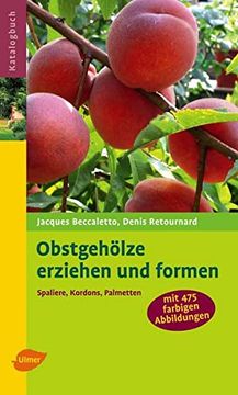 portada Obstgehölze Erziehen und Formen: Spaliere, Kordons, Palmetten (en Alemán)
