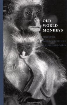 portada Old World Monkeys (in English)