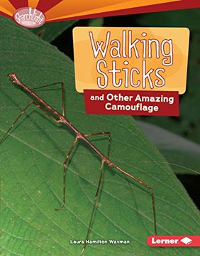portada Walking Sticks and Other Amazing Camouflage (in English)
