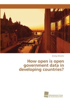 portada How open is open government data in developing countries? (en Inglés)