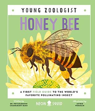 portada Honey bee (Young Zoologist): A First Field Guide to the World'S Favorite Pollinating Insect (in English)