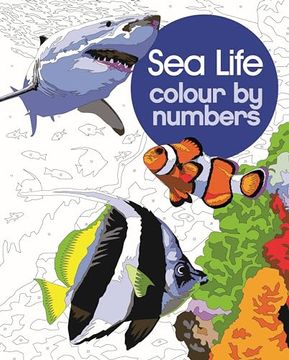 portada Sea Life Colour by Numbers (Arcturus Colour by Numbers Collection)