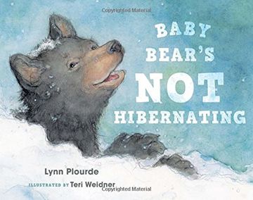 portada Baby Bear's Not Hibernating (in English)