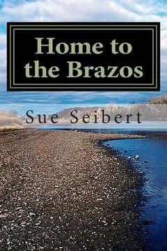 portada Home to the Brazos: A Painted Post Mystery
