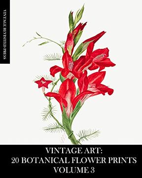 portada Vintage Art: 20 Botanical Flower Prints Volume 3: Ephemera for Framing, Junk Journals, Mixed Media and Decoupage (en Inglés)