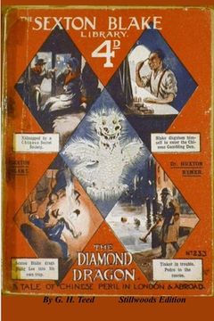 portada The Diamond Dragon (in English)