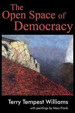 the open space of democracy