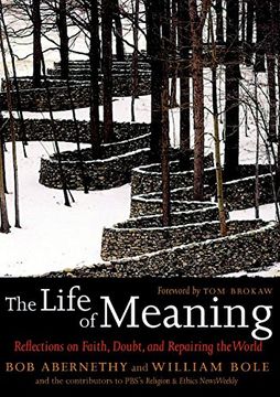 portada The Life of Meaning: Reflections on Faith, Doubt, and Repairing the World (en Inglés)