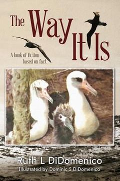 portada The Way It Is: A Book of Fiction Based on Fact (en Inglés)