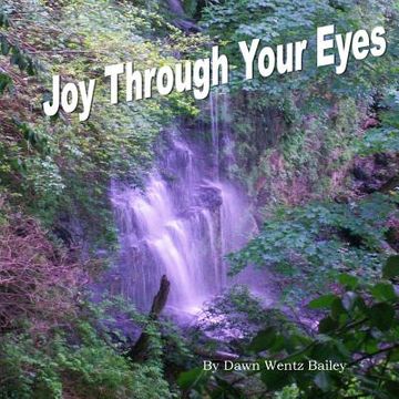portada Joy Through Your Eyes (en Inglés)