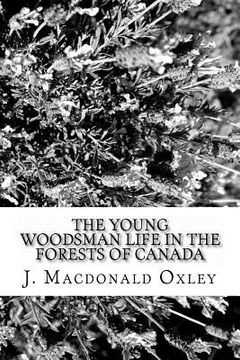 portada The Young Woodsman Life in the Forests of Canada: Or Life in the Forests of Canada (en Inglés)