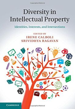 portada Diversity in Intellectual Property: Identities, Interests, and Intersections (en Inglés)