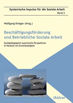 portada Beschäftigungsförderung und Betriebliche Soziale Arbeit: Sozialpädagogisch-Systemische Perspektiven im Kontext von Erwerbstätigkeit (en Alemán)
