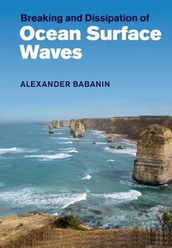 portada Breaking and Dissipation of Ocean Surface Waves (en Inglés)