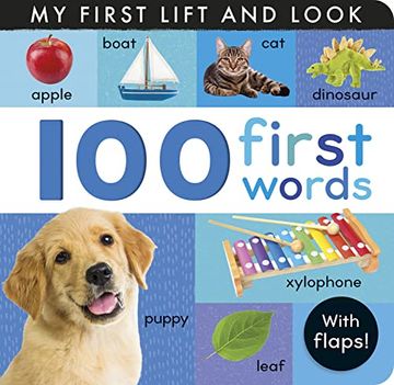portada 100 First Words: My First Lift and Look (en Inglés)