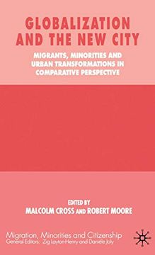 portada Globalization and the new City: Migrants, Minorities and Urban Transformations in Comparative Perspective (Practical Social Work Series) (en Inglés)