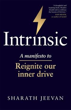 portada Intrinsic: A Manifesto to Reignite our Inner Drive 