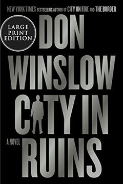 portada City in Ruins: A Novel (The Danny Ryan Trilogy, 3) (in English)