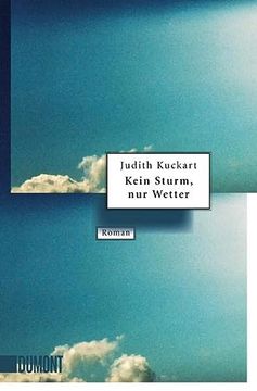portada Kein Sturm, nur Wetter: Roman (en Alemán)