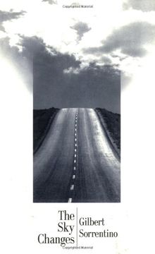 portada Sky Changes (American Literature (Dalkey Archive)) (in English)
