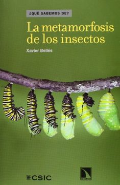 portada La Metamorfosis de los Insectos