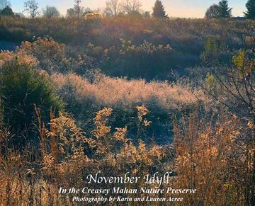 portada November Idyll: In the Creasey Mahan Nature Preserve (en Inglés)