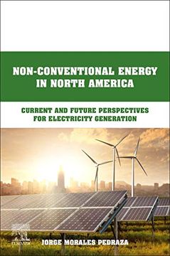 portada Non-Conventional Energy in North America: Current and Future Perspectives for Electricity Generation (en Inglés)