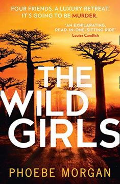 portada The Wild Girls: From the Author of Gripping Books Like the Babysitter Comes the Most Exhilarating and Escapist Psychological Crime Thriller of 2021! (in English)